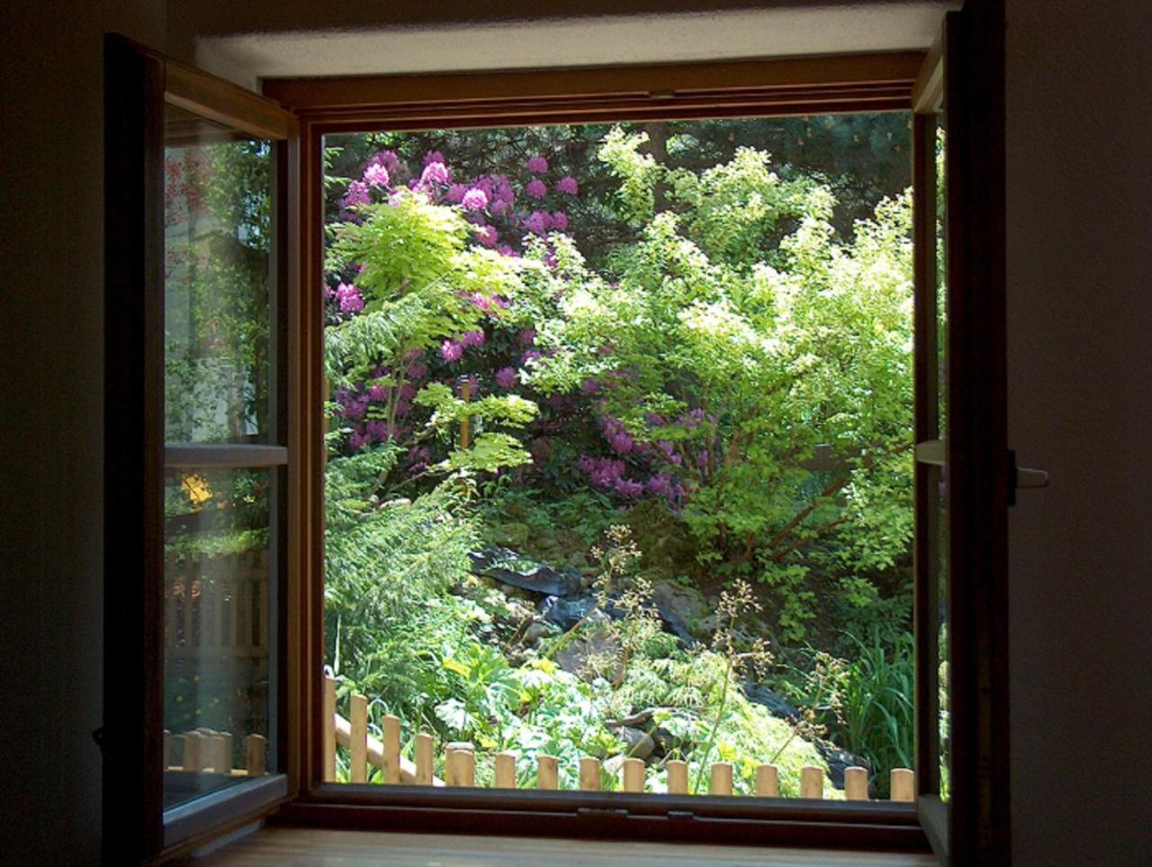 Ferienwohnung Am Kneipp-Park Scheidegg Extérieur photo