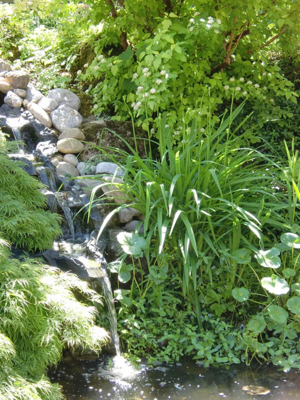 Ferienwohnung Am Kneipp-Park Scheidegg Extérieur photo